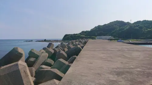 野母崎（野母終末処理場近く）テトラポット①状況