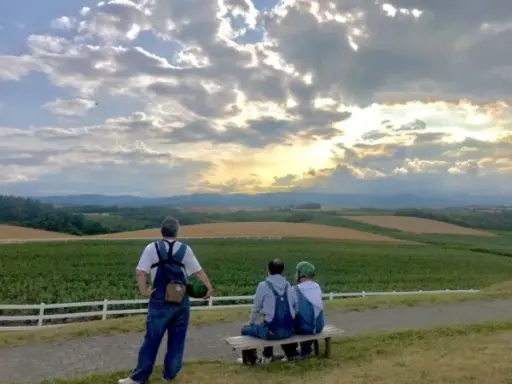 北海道：美瑛の丘陵