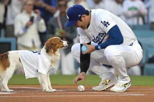 【大谷翔平】デコピンドジャースのグラウンドに登場